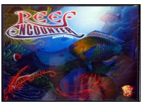 Reef Encounter