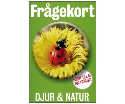 Klicka för större bild
