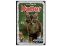 Kvartettspel: Katter