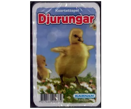 Klicka för större bild