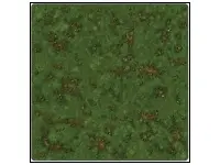 Runewars Miniatures Game: Grassy Field Playmat