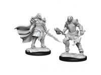 D&D Nolzur's Marvelous Miniatures: Female Dragonborn Fighter (Unpainted)