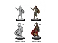 Pathfinder Deep Cuts: Female Human Champion