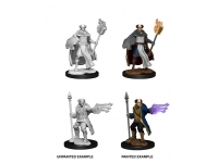 D&D Nolzur's Marvelous Miniatures: Male Multiclass Cleric + Wizard (Unpainted)