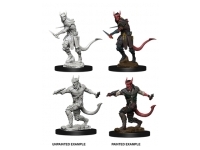 D&D Nolzur's Marvelous Miniatures: Tiefling Male Rogue (Unpainted)