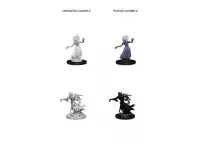 D&D Nolzur's Marvelous Miniatures: Wraith & Specter (Unpainted)