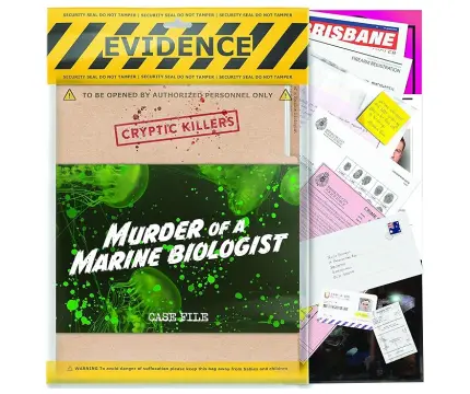 Klicka för större bild