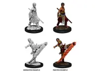 D&D Nolzur's Marvelous Miniatures: Male Half-Elf Monk (Unpainted)